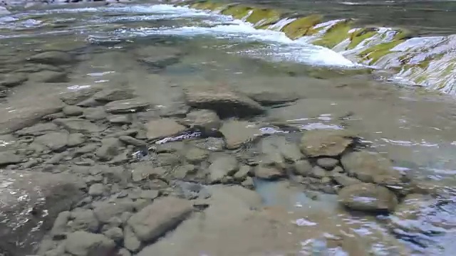 山河流过岩石视频素材