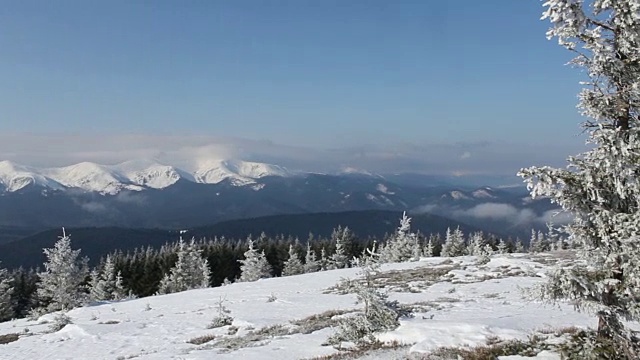美丽的冬天早晨在雪山森林瑞士阿尔卑斯山冒险徒步旅行风景与白色的雾视频素材