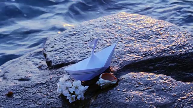 纸船、贝壳和一枝樱花在海边录影。视频素材