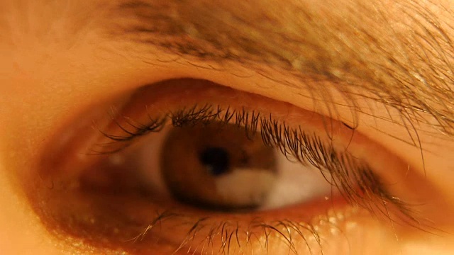 男性的棕色眼睛。视频下载