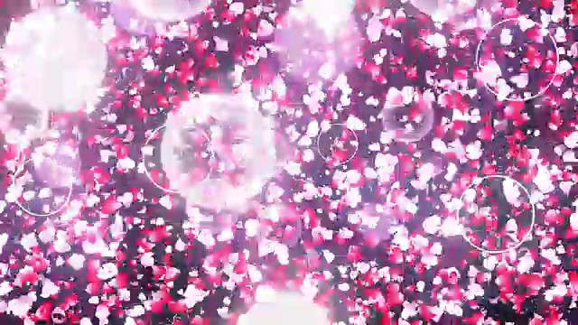 きらきら桜吹雪ワイプ视频素材