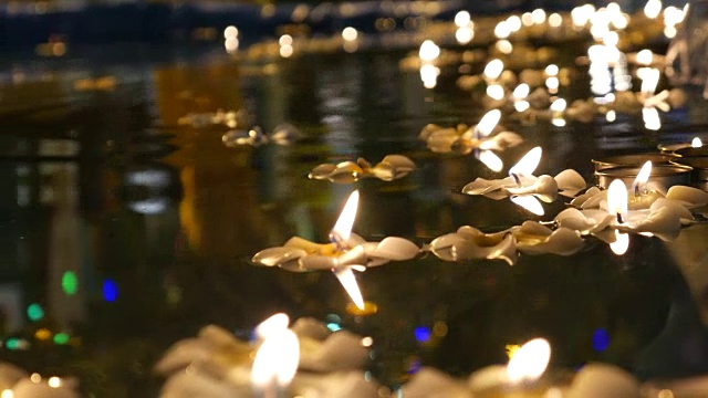 荷花蜡烛浮在水上视频下载