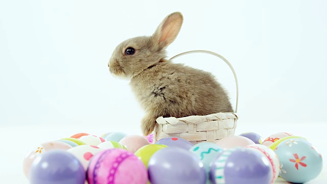 柳条篮子里装着复活节彩蛋和复活节兔子视频下载