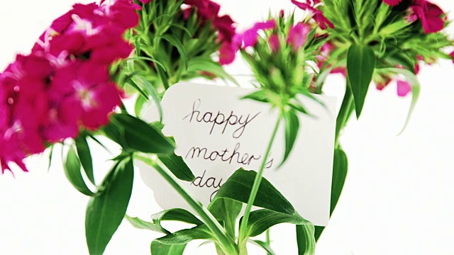 花瓶里有一束粉红色的玫瑰，上面挂着母亲节快乐的标签视频下载