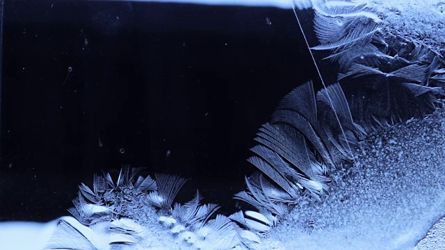 冻水的花瓣在玻璃上随风飘动视频素材