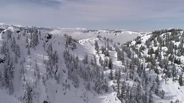 美丽的冬日仙境与空中的雪山森林和低地雾云视频素材