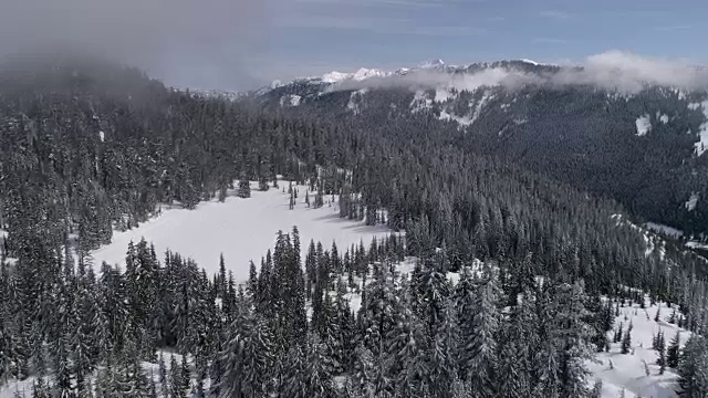 明亮的晴天空中的积雪覆盖的山湖在森林与茂密的树木视频素材