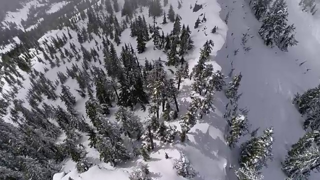 直升机鸟瞰森林山脊与深新鲜粉末雪视频素材