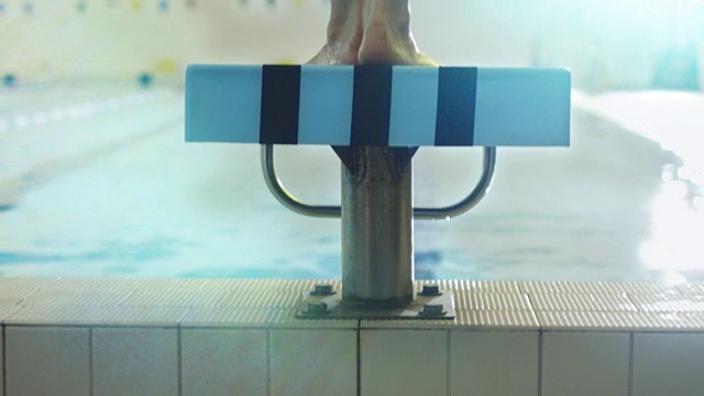 美国职业女子游泳运动员准备后臂射击，并从起跑台跳入泳池。视频素材