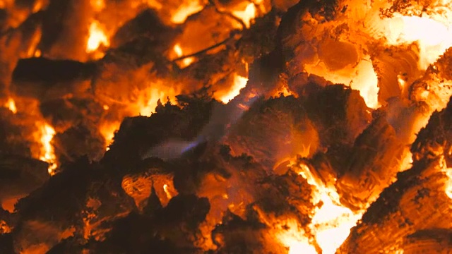 近距离的火和火焰的篝火燃烧在夜晚视频素材