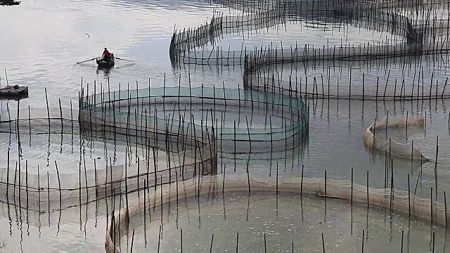 在福建省霞浦市的蟹养殖中，蟹均采用圈护笼养殖视频下载