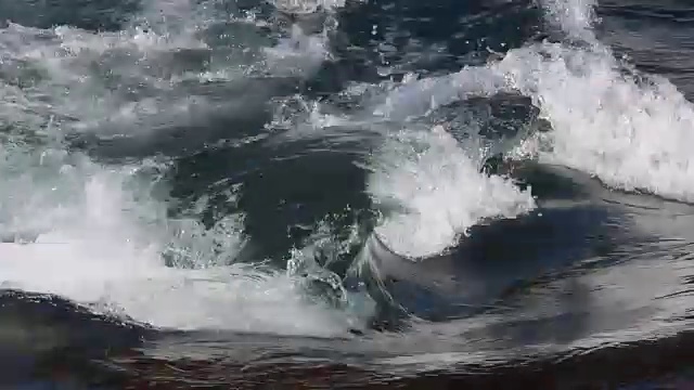 俄罗斯阿尔泰，卡顿河中流动的浮冰视频素材