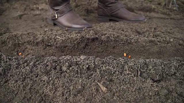 一个农民播种的特写视频素材
