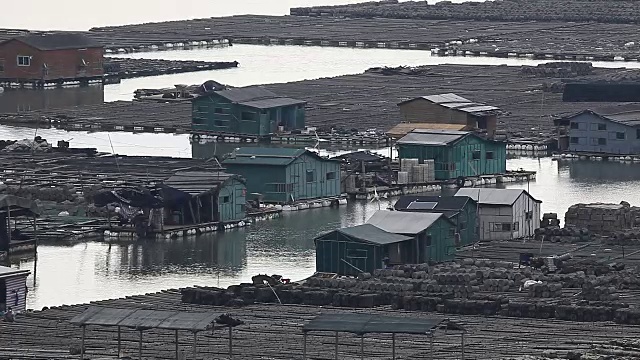 福建霞浦，农民在海边养殖鲍鱼，在水中放入大量笼子。他们生活在海面上。视频下载