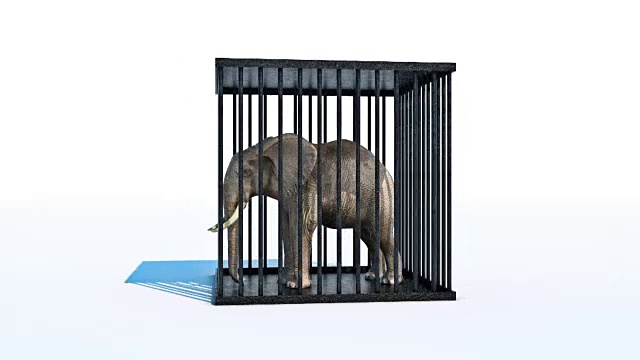 大象在笼子里。三维渲染视频素材