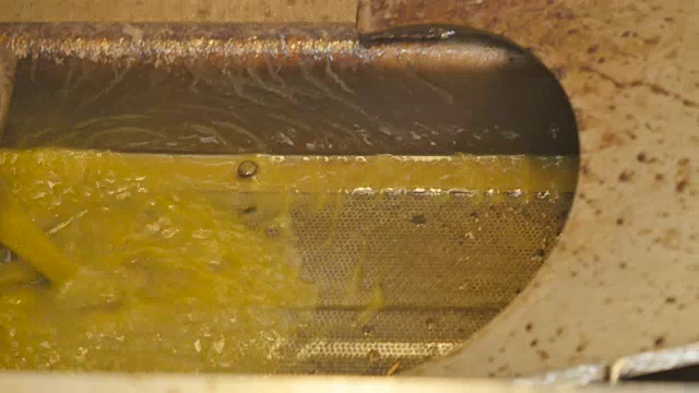 新鲜压榨的橄榄油从工厂的管道中流出视频素材