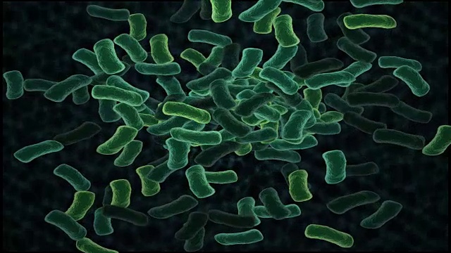 细菌视频下载