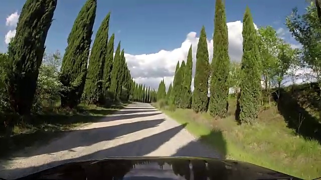 意大利托斯卡纳的柏树乡村公路视频下载