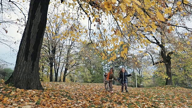 好玩的女孩有乐趣在秋天的一天在公园，而手牵着手和跑步。缓慢的运动。视频素材