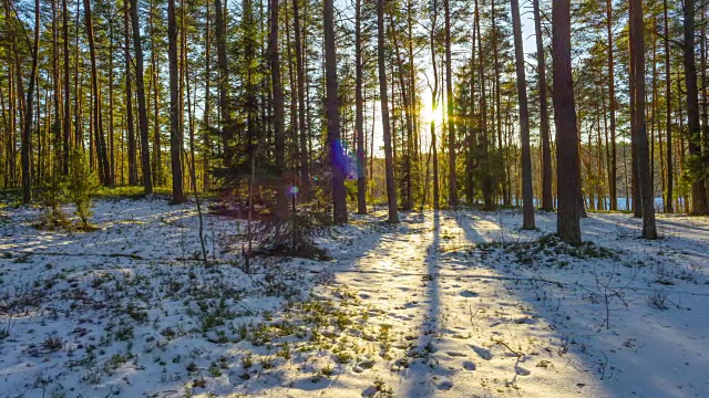冬日森林里的日落，4K延时视频素材
