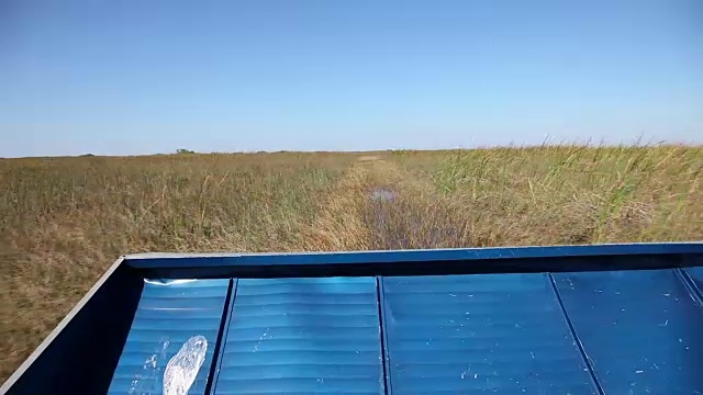 佛罗里达州大沼泽地的汽艇航行视频素材
