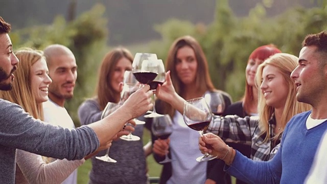 一群朋友在葡萄园里举杯畅饮视频素材