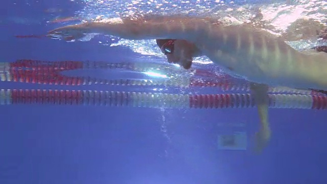 水下视野为专业游泳运动员在泳池中爬泳。视频下载