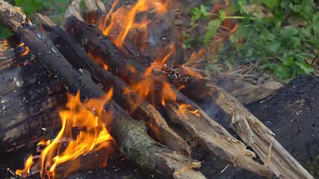 森林里的篝火。视频素材