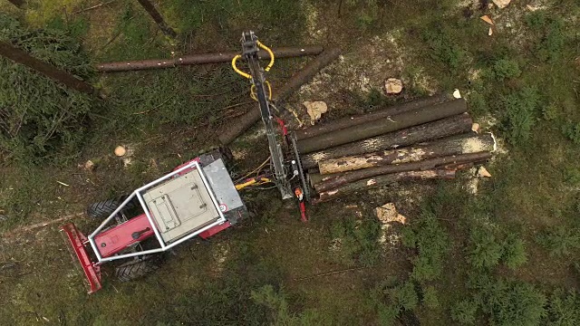 空中特写:起重机装载砍伐的原木和树干在自然的伐木卡车上视频素材