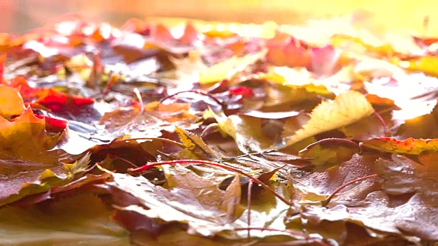 发光的秋天的太阳视频素材