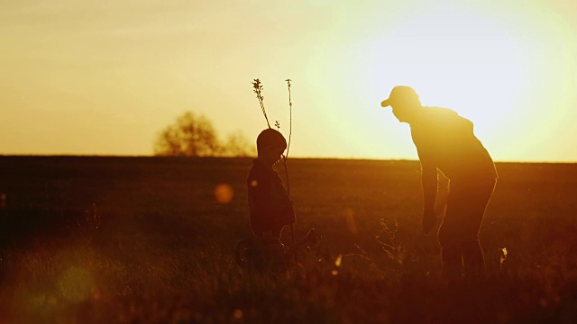 一位父亲和一个小儿子一起种一棵树。日落时，美丽的剪影。理念——全新的生活，坚定的家庭和家庭价值观视频下载
