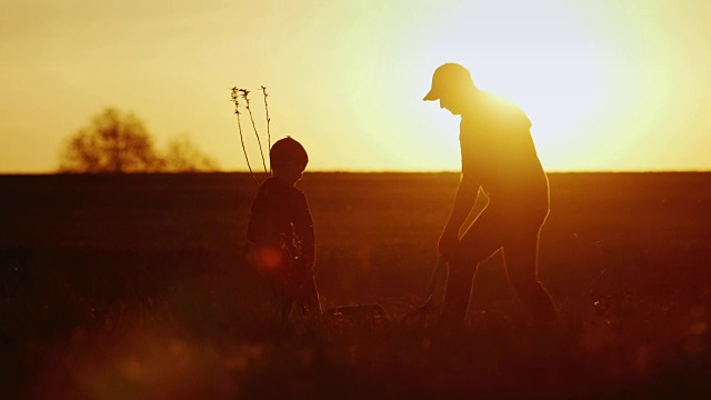 一位父亲和他的小儿子在日落时分一起种树。新生活，强大的家庭和传统视频下载