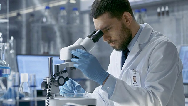 在一个现代实验室助理带来培养皿的首席研究科学家谁开始在显微镜下检查给定的样本。视频素材
