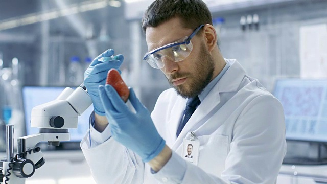 在一个现代实验室里，食品科学家用注射器注射草莓。他在研究这种产品的基因改造。视频素材