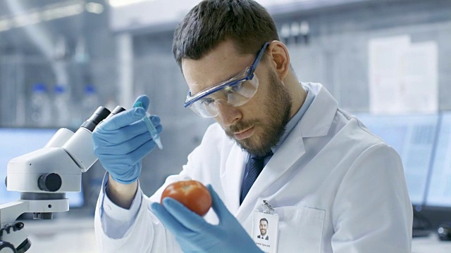 在现代实验室里，食品科学家用注射器给番茄注射。他正在研究这种蔬菜的基因改造:增味、寄生虫/抗寒。视频素材
