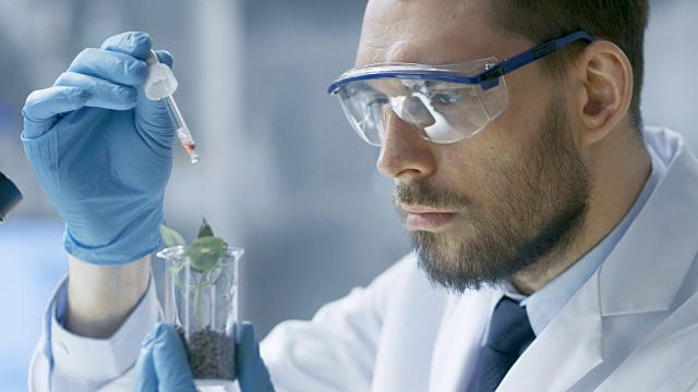 在现代实验室中，食品科学家通过在试管中使用滴管和植物合成化合物进行实验。视频素材