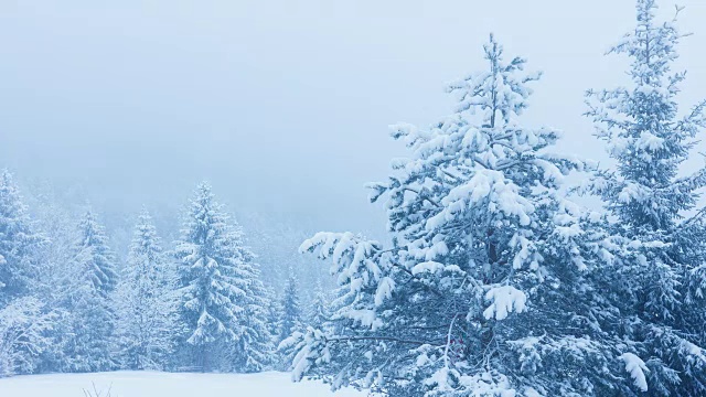 美丽的冬天的风景视频下载