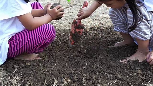泰国小女孩在地上种一棵树，慢镜头。生态学的概念。(第1部分)视频素材