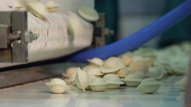 机器为饺子造型，在一家俄式工厂生产视频下载