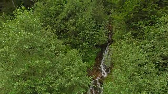森林里岩石上的小瀑布视频素材