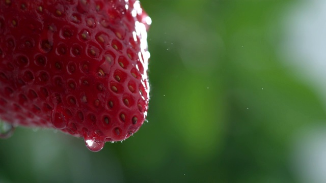 极端特写的水滴在草莓在慢动作视频下载