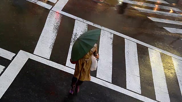 台风期间在街道上的人行横道。视频下载