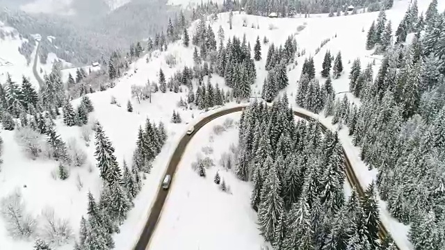 在冬天沿着森林道路行驶的汽车视频素材
