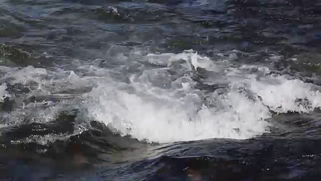 春天河水的流动视频素材