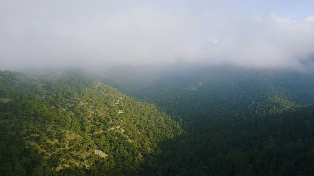 云，雾在山上。塞浦路斯。雪松山谷。视频素材