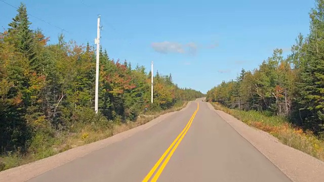 POV:在空旷的州际高速公路上通过茂密的混合森林在加拿大视频素材