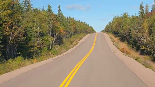 FPV:行驶在空旷的高速公路上，穿过加拿大茂密的落叶混交林视频素材