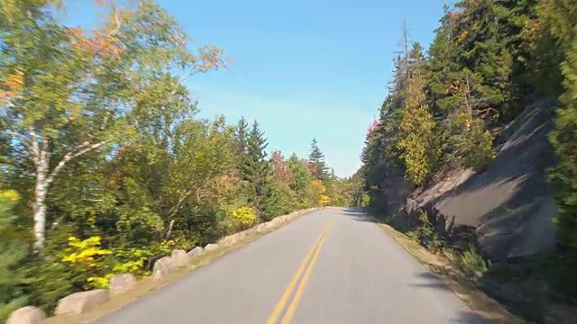 FPV:人们自驾游穿越美国的乡村公路上的森林视频素材