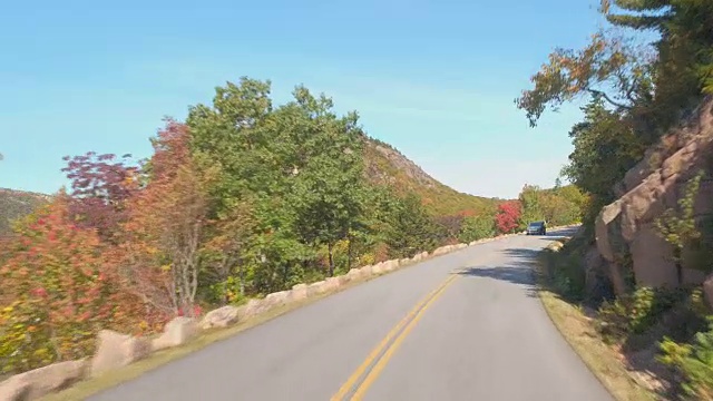 FPV:通过阿卡迪亚国家公园茂密的森林穿越美国的公路旅行视频素材