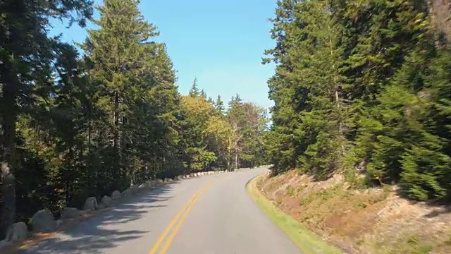 POV:人们在公路旅行中开车穿过穿过森林的乡村道路视频素材